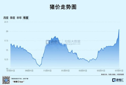 猪价下半年预测