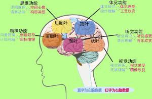 联合国儿基会：10月加沙平均每天发生两起针对学校的袭击