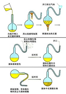 李家超与世贸总干事伊维拉会面