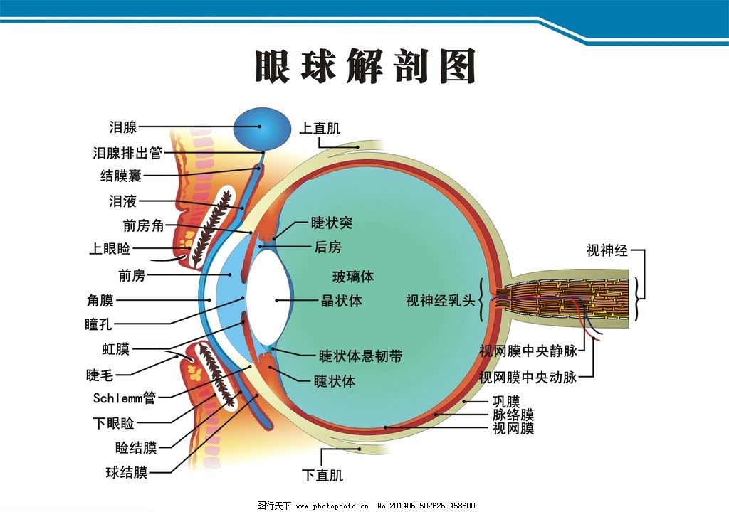 修车美容怎么上保险