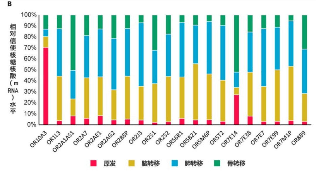 科大研发针对乳癌诊断AI模型收集内地最大规模相关数据