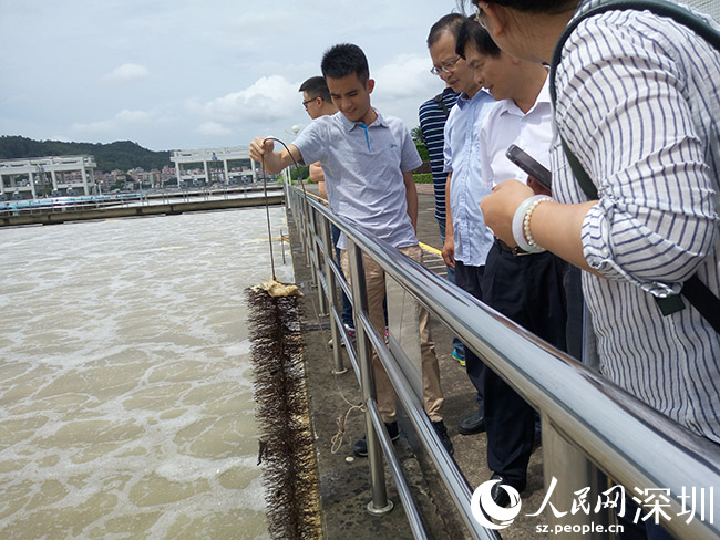 东涌供水受影响约12小时后恢复 区议员指水务署讯息混乱