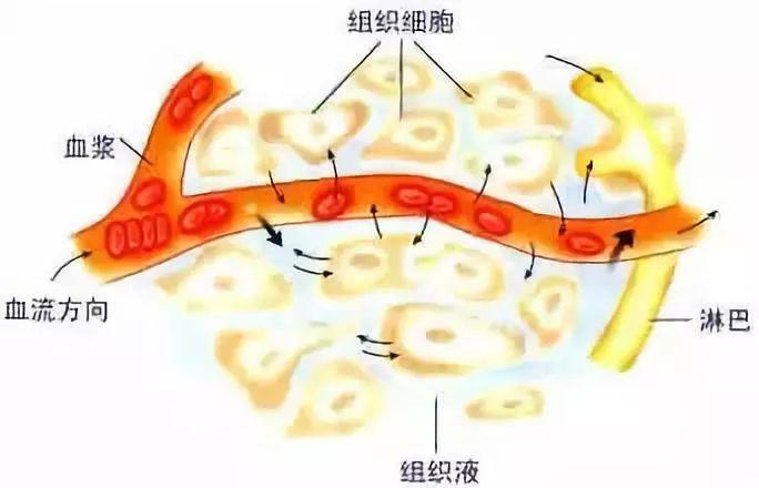 京东11.11独家首发雅培瞬感2代血糖仪：国内首个适用于4岁以上糖尿病儿童的CGM产品