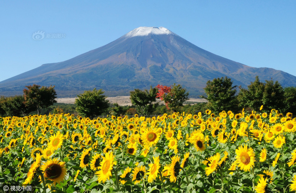 日本甲府地方气象台：富士山山顶附近出现初冠雪