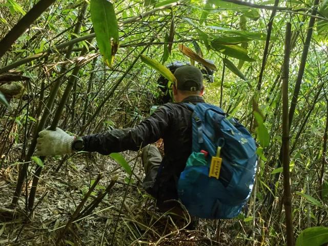 香港仔67岁老翁南丫岛行山失蹤 迷路露宿山头今早自行回家（更新）