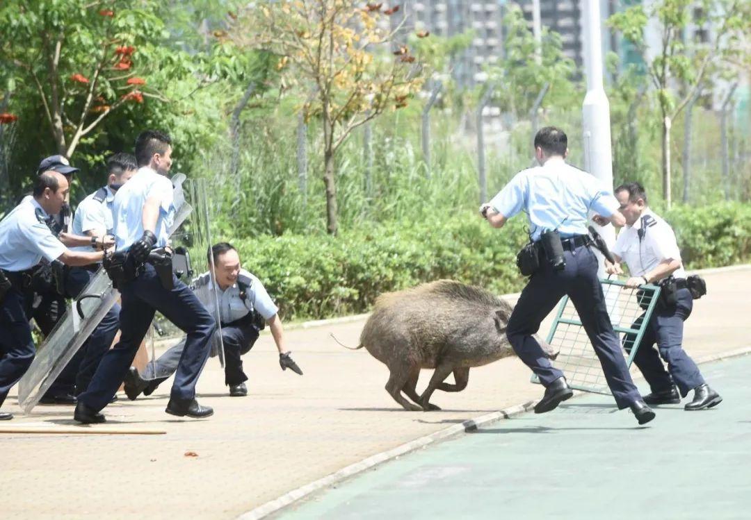 渔护署宣布北大屿海岸公园即日成立