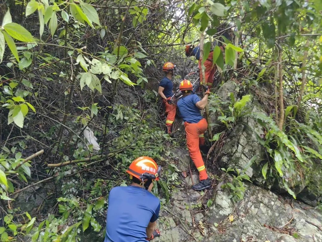 山顶种植道一单位疑被爆窃 损失80多万元财物