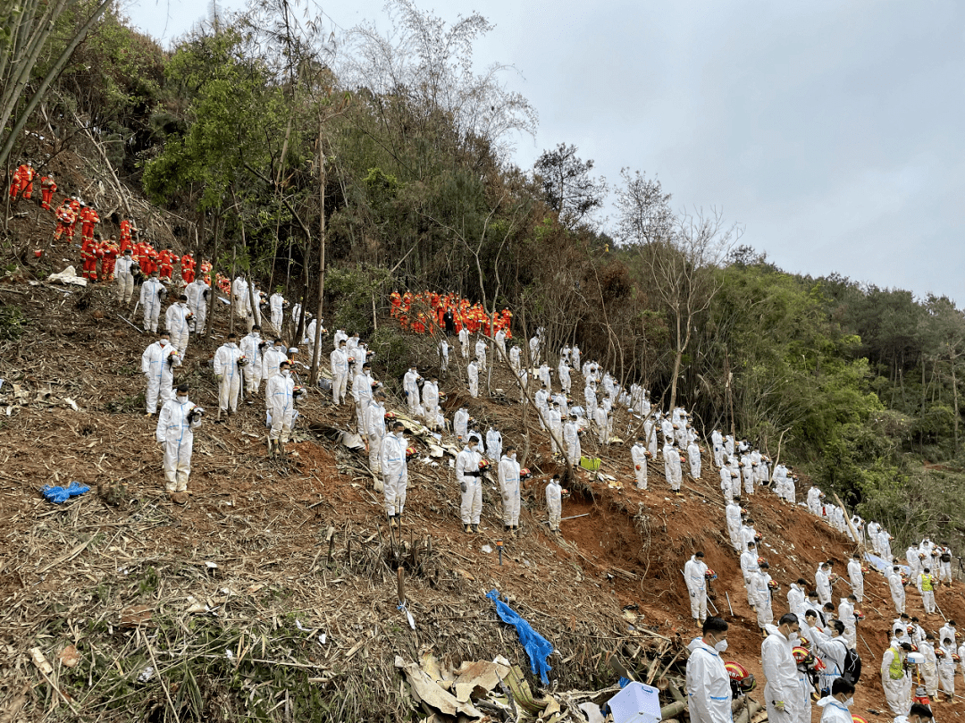 政府于西贡布袋澳对山边非法殡葬採取执管行动