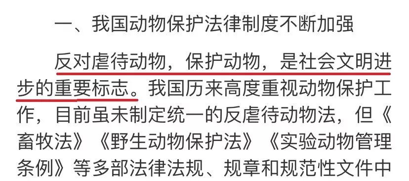 禁食狗肉法实施后！韩国为保护动物下狠手：推出新量刑标准