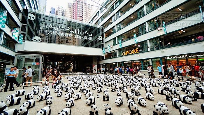 「PANDA GO香港游」周六与市民见面 耗资七位数「大熊猫导游」同场快闪