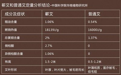 又地震？传艾舒禾夫入「魔」仅5个月被炒