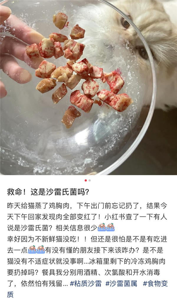 好可怕！为什么马桶里总是有一圈红色啊啊啊