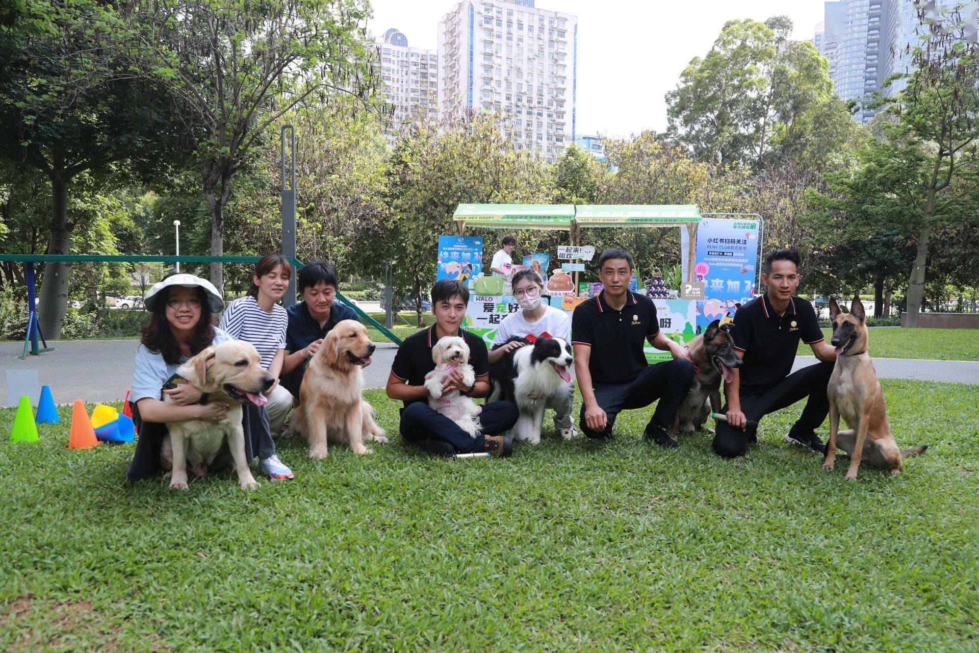 义工成功游说绝育及带狗散步 南生围4链犬嚐短暂自由