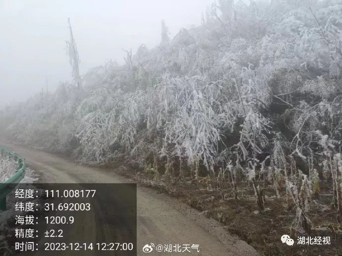 上海下雪了 气象局：冷锋过境撞上水汽 维持时间较短