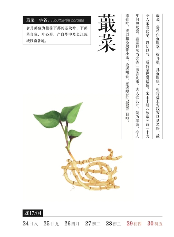 荸荠、蕺菜、藠头：见过吃过听过 但就是不会读