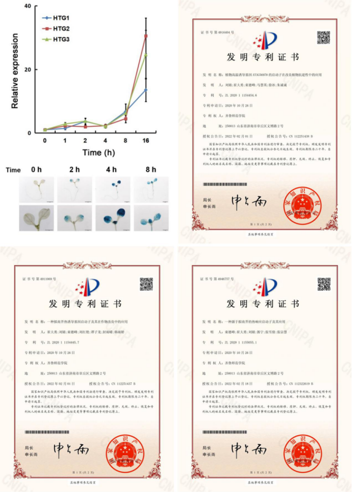  喜讯！安吉尔“长效反渗透膜”正式获得欧洲发明专利